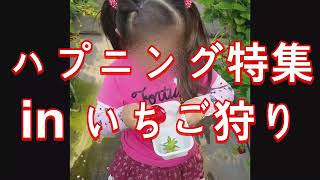 【アメリカ在住】ハプニング映像！！家族でいちご狩りに行きました。#おもしろ動画 #成長記録 #可愛い