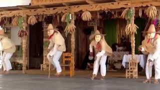 Danzas Tradicionales de Michoacan: Danza de los Enguangochados