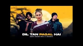 Dil tu pagal hai || Latest Punjabi song 2025