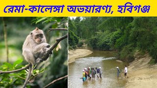 রেমা কালেঙ্গা অভয়ারণ্য, হবিগঞ্জ | Rema Kalenga Reserved Forest, Habiganj