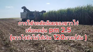 ชาวไร่ใช้รถตัดอ้อยเพื่อลดฝุ่น pm 2.5#ชาวไร่อ้อย #รถตัดอ้อย #sugarcaneharvester