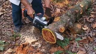 เลื่อยโซ่ zhipu 2แบต,บาร์ stihl 12,โซ่ตัด new wave 3636