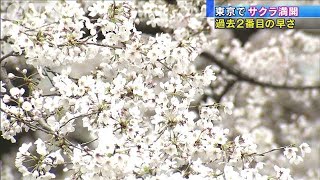 福岡に次いで東京で桜満開　過去2番目の早さに(2021年3月22日)