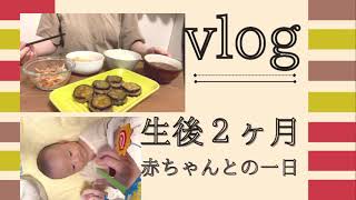 生後２ヶ月の赤ちゃん(vlog)/クーイング/食事記録