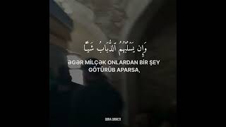 Allahdan başqa dua etdikləriniz bir milçək belə yarada bilməzlər,