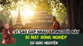 Vì Sao Gặp Nhau Trong Đời Này? Bí Mật Đồng Nghiệp | Sư Giác Nguyên | Sư Toại Khanh