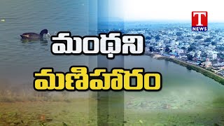 Special Report | Mission Kakatiya Starting to Bear Fruits | Thammi Chervu in Manthani | T News