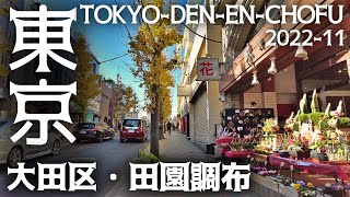 東京23区駅前散歩 田園調布 大田区 東急東横線 Tokyo Cityscape Ota Den-En-Chofu walk