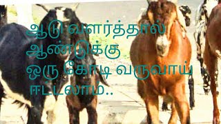 ஆடு மேய்க்கும் முறை ஆடு வளர்ப்பு, ஆடு வளர்ப்பு முறை, ஆடு வளர்ப்பது.