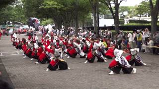 躍動／ＮＨＫ前／原宿　スーパーよさこい2013（初日）