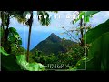 faos natural walk 🍉 kygo style 2022 🌴tropical house 2022