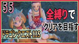 #55【ドラクエ11S/全縛りプレイ中】大樹目指して進んでいくよ！最後のキャンプ【ドラゴンクエスト】