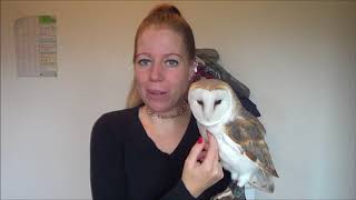 How to TURN YOUR OWL BACK AROUND ON THE GLOVE \u0026 why it's important