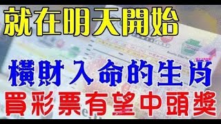 【有望中頭獎】就在明天開始！這九大生肖橫財入命，一定要去買彩票，往後命逢天助，夫妻倆和如琴瑟，大富大貴。