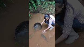 Fishing #river fishing;#omkv fishing #malluangaular #kerala #Fishing