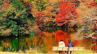 「房総のモネの池」四方木・紅の里「錦沼」