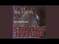 Fine (New Messiah B Side)