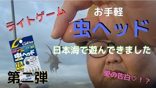 #97【ライトゲーム】チョーお手軽フィッシング虫ヘッドであそんできましたin日本海