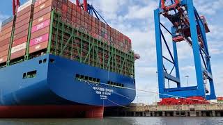 HMM Le Havre - 24000 TEU Container Vessel - Up-close