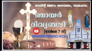 Holymass Vadakkumbhagom  12.01.2025  The mass is the moment when heaven and earth is united