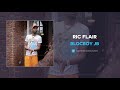 BlocBoy JB - Ric Flair (AUDIO)
