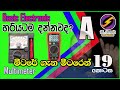 Basic Electronic sinhala ( Part 19) SL CRACK සිංහලෙන්ම Multi meter (A )