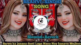 Barwa ka janana dosti Laga Nana Brahvi Sindhi Slowed+Reverb Best Song