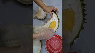 두리안의 냄새, 가격...헉#shorts #view #호치민 #durian #두리안 #과일의 왕 #냄새