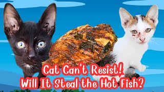 Cat Can't Resist. Will It Steal the Hot Fried Fish from the Pan? #cat #kittten #catlover