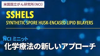 化学療法の新しいアプローチ：NCIミニット／米国国立がん研究所（NCI）