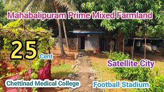 🆔 1402🌴25 CENT ECR MIXED FARMLAND FOR SALE CHENNAI🌴MAHABALIPURAM POONJERI🏖️ STADIUM RESORT🏖️MR.ASHI