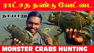 MONSTER CRABS HUNTING | ராட்சத நண்டு வேட்டை | முல்லைத்தீவு நாயாறு #valvaisulax #shorts #trending