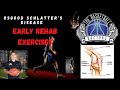 Osgood Schlatter's Disease Early Rehab