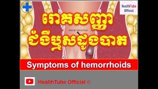 រោគសញ្ញាជំងឺឬសដូងបាត/Symptoms of hemorrhoids l HealthTube Official