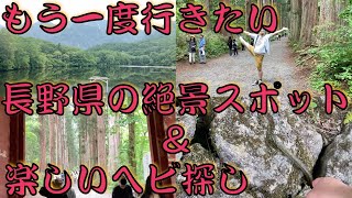 #241【はじめての長野旅⑤】長野県の絶景スポット!!少年とヘビ探し!!