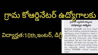 AP అక్షర వెలుగు ప్రాజెక్టు లో గ్రామ కోఆర్డినేటర్ ఉద్యోగాలు ||village coordinator jobs in ap