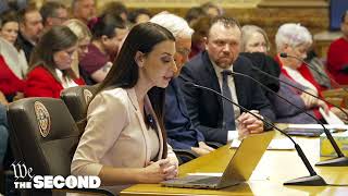 Ava Flanell's Testimony Against Colorado SB25-003 AWB