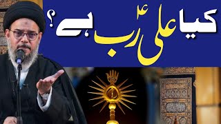 Hazrat Ali Ko Rab Keh Saktay Hain ? | Allama Aqeel Ul Gharavi