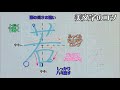 【大人文字】美文字プロセスの見える化　part522「若」6年生常用漢字編