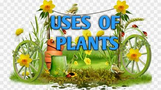 Uses of plants | class2 | EVS