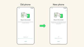 How to transfer your chats to a new Android phone | WhatsApp