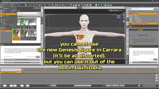 Tutorial   Face Transfer   Daz Studio   Carrara