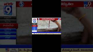 మహానందిలో మహాద్భుతం - TV9