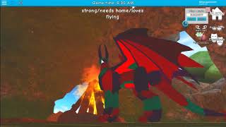 Roblox Dragons Life Ideas Robux Codes That Don T Expire - how to fly in roblox's dragon's life