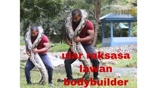 giant snake vs bodybuilder...