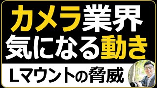 Nikon Canonは大丈夫？ ミラーレス一眼カメラ市場の動き【djiとハッセルブラッド、そしてライカ、LUMIX、SIGMAなどLマウントアライアンスの脅威】