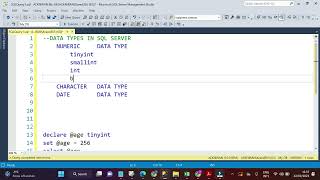 2 NUMERIC DATA TYPES TINYINT