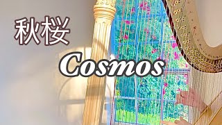 秋桜 コスモス 〜ハープで秋の名曲 Cosmos