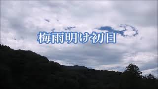 トキソウ【沼ノ原】夏の湿原歩き 2022年6月28日