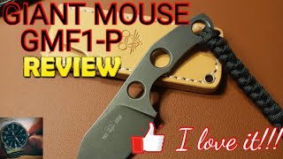 Giant Mouse GMF1-P Review